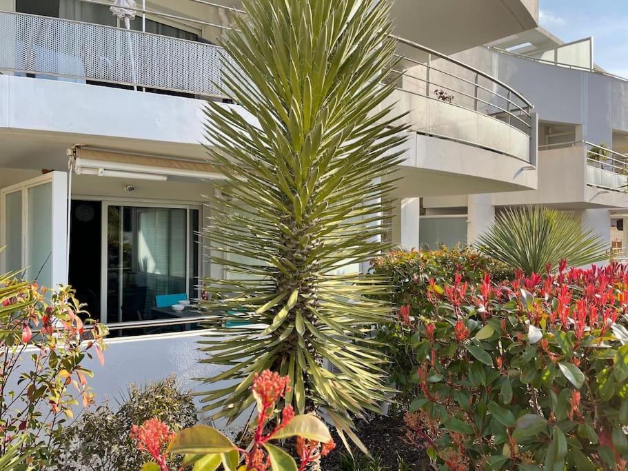 Апартаменти 21 - Tres Agreable Rdc Avec Terrasse Et Parking Бандоль Екстер'єр фото